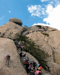 20110414113602_7_spring_tra7_QPVweJkOs_pRsXDBBLp2XO.jpg