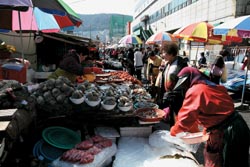 20110414143710_3_spring_tra25_M5tJuyCQld6Eh_mtlbYf2F31azG.jpg